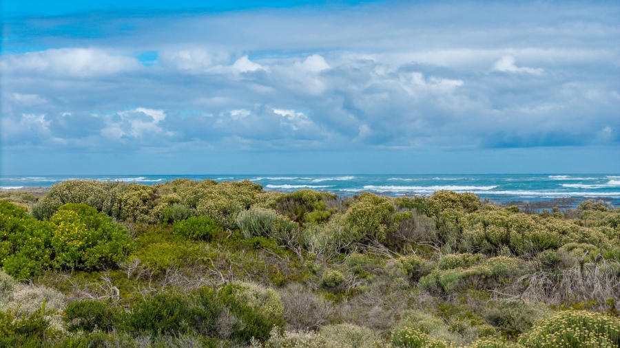 6 Bedroom Property for Sale in Suiderstrand Western Cape